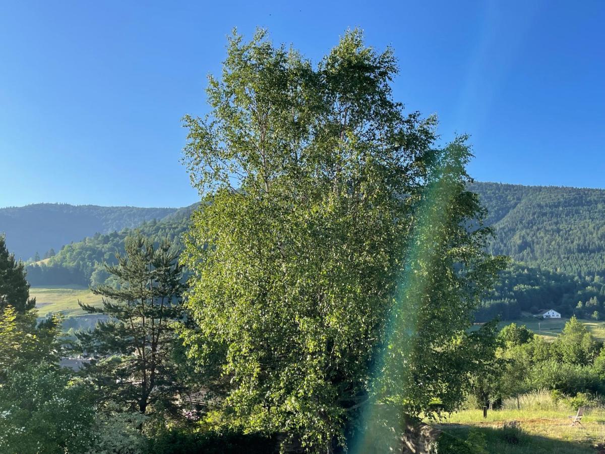 La Maison Des Douceurs Bussang Exteriör bild